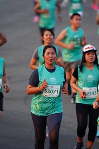 BIB: 53071, 2343
                            <button type="button" onclick="openModal(10516101)" class="btn btn-primary btn-sm float-right btn-popup" data-toggle="modal" data-target=".modal-high-quality">
                        <i class="fas fa-shopping-cart"></i> Add to Cart
                    </button>
                                            <button type="button" onclick="isThisMe(10516101, true)" class="btn btn-success btn-sm float-right btn-popup btn-isme hidden" data-toggle="tooltip" data-placement="bottom" title="นี่คือรูปของคุณใช่ไหม คลิกที่นี่เพื่อเอาเข้าอัลบั้ม">
                        <i class="fas fa-plus"></i> Add to album
                    </button>
                    <button type="button" onclick="isThisMe(10516101, false)" class="btn btn-warning btn-sm float-right btn-popup btn-isnotme hidden">
                        <i class="fas fa-ban"></i> Remove from album
                    </button>